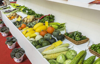 處理食品進(jìn)口報關(guān)申報你還有很多需要學(xué)