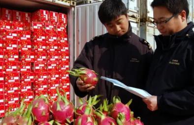 關(guān)于食品進(jìn)口報關(guān)你應(yīng)該知道的幾點(diǎn)知識