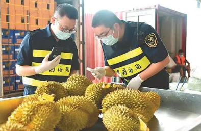 水果進口都要注意哪些問題？進口報關(guān)都需要哪些資料？